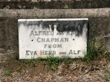 image of grave number 716463